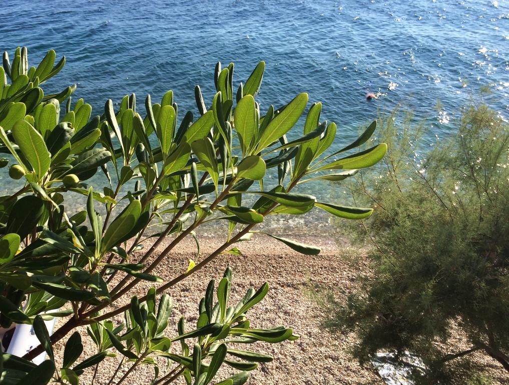 Holiday Home Mala Duba Živogošće Rum bild